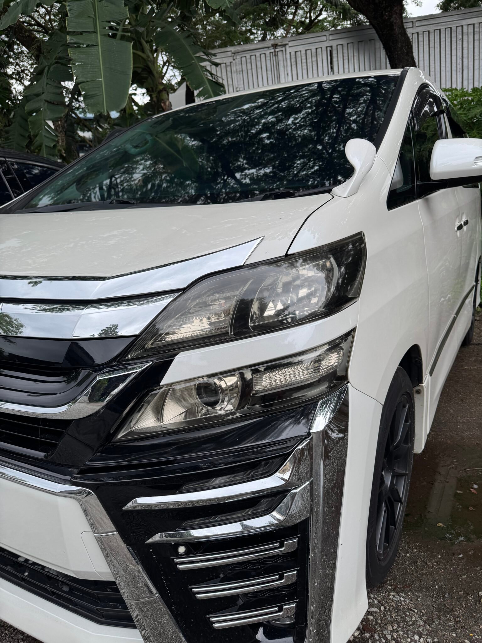 Front Lamp Smoke Coating